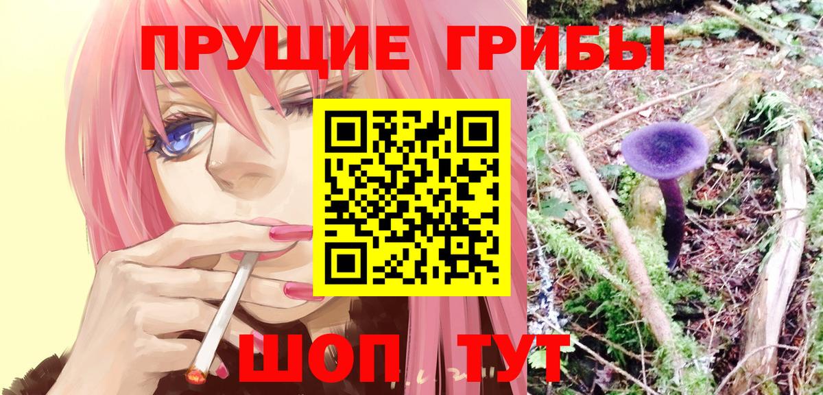 Галлюциногенные грибы мицелий Луховицы