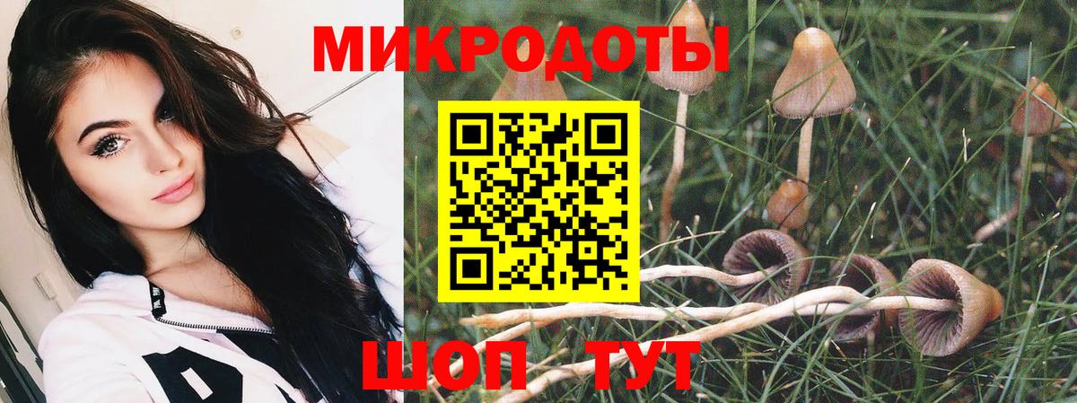 Псилоцибиновые грибы мухоморы  Галлюциногенные грибы мицелий  Луховицы  Вход с VPN 